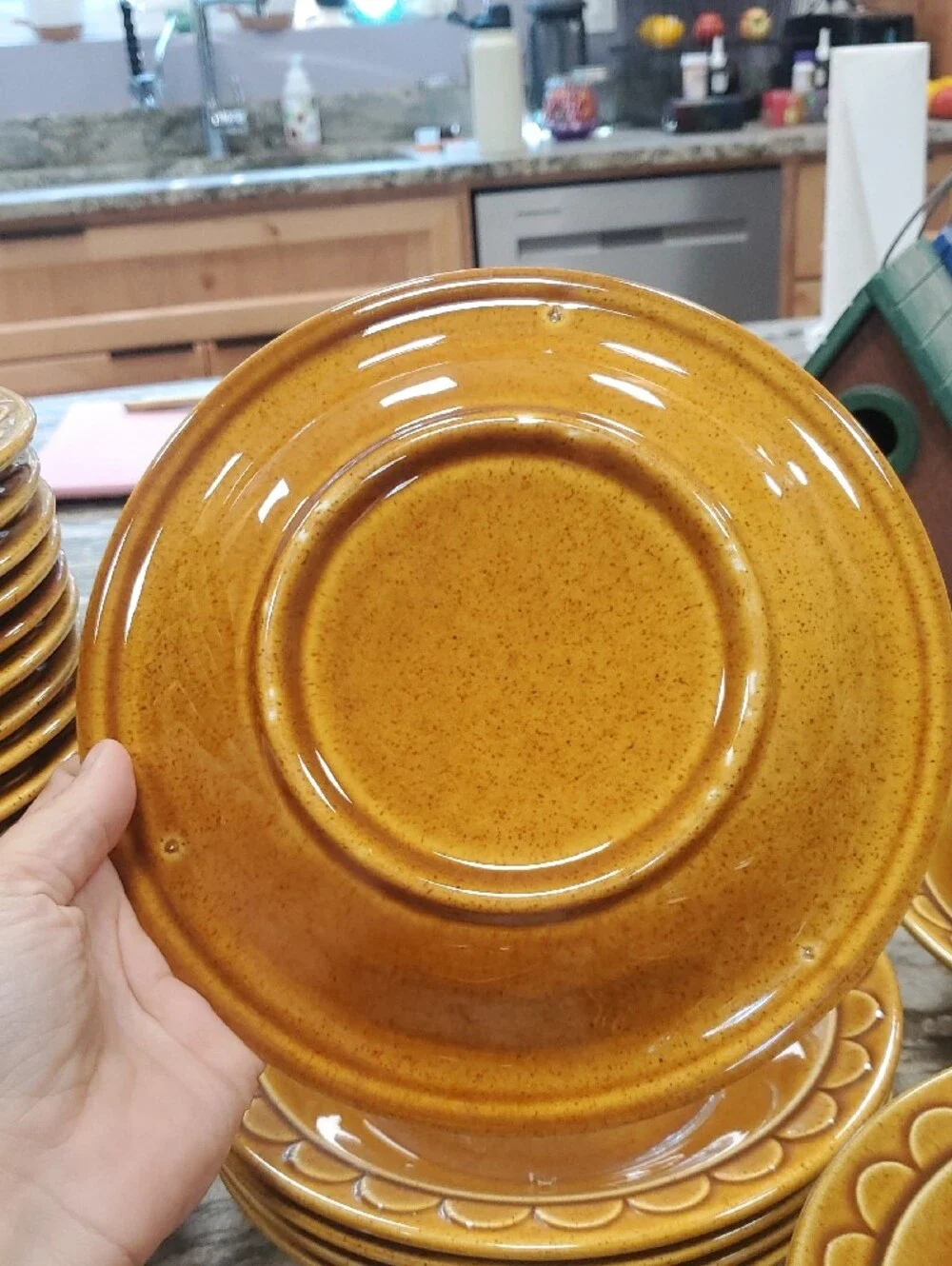 Homer Laughlin Golden Harvest Shallow Salad Bowl, Set Of 5
